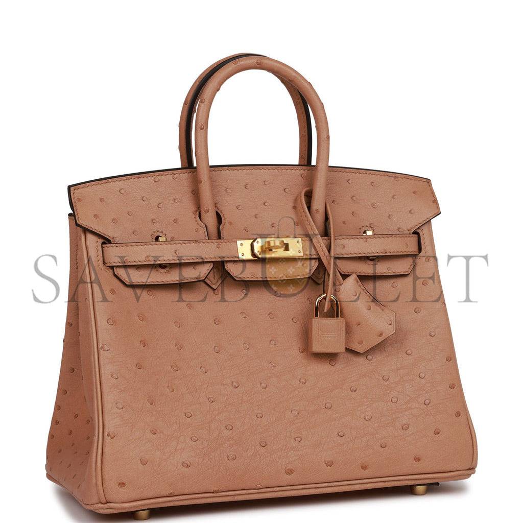 H**mes birkin 25 chai ostrich gold hardware (25cm)